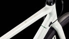 Cube Nuroad One FE